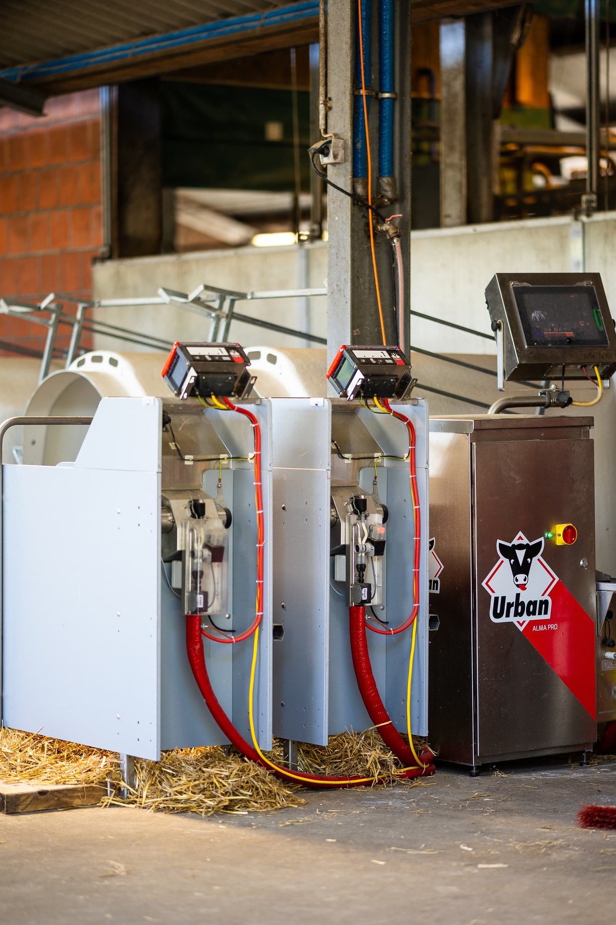Tränkeautomaten mit Edelstahlgehäuse im Stall